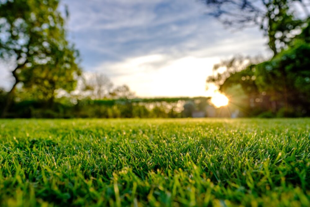 Does artificial grass get hot in the sun? Does artificial grass get hot in the sun?