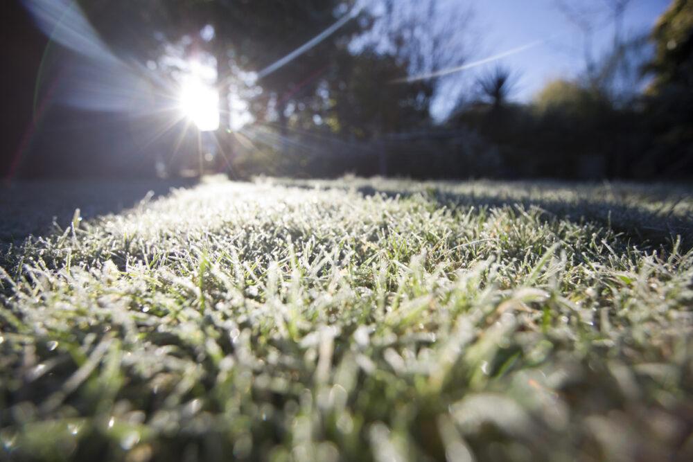 How to care for your artificial grass in winter How to care for your artificial grass in winter