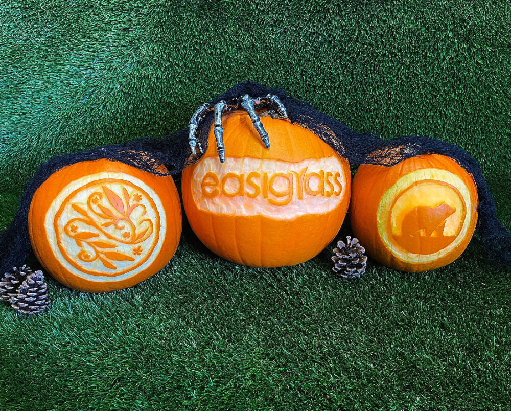 Get Your Garden Ready for a “Spooktacular” Halloween Get Your Garden Ready for a “Spooktacular” Halloween
